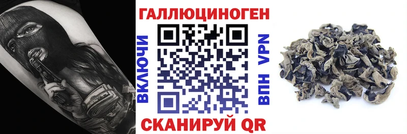 Купить закладки  Оса  Псилоцибиновые грибы ЛСД 